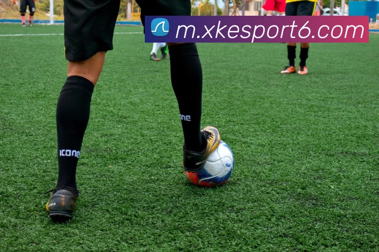 多媒体互动体验